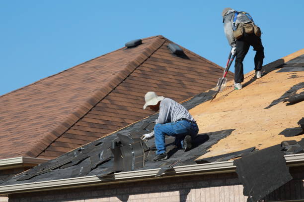 Best Skylight Installation and Repair  in Palmer, AK
