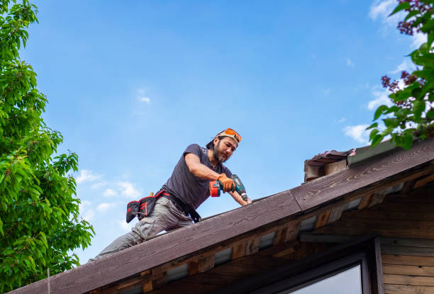 Best Roof Inspection  in Palmer, AK