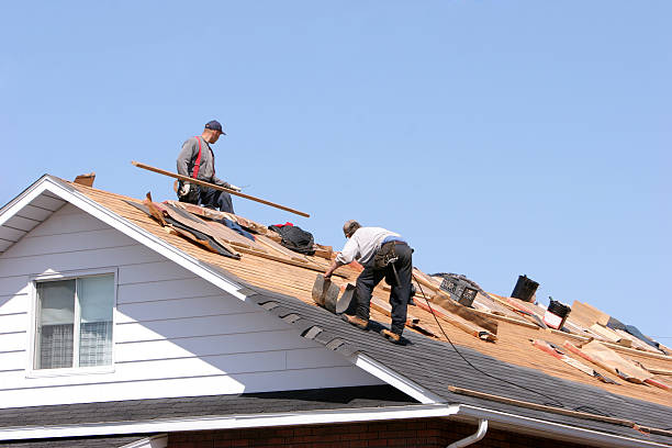 Best Roof Maintenance and Cleaning  in Palmer, AK