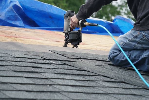 Best Rubber Roofing (EPDM, TPO)  in Palmer, AK