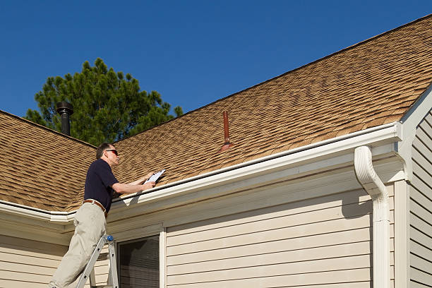 Best Skylight Installation and Repair  in Palmer, AK