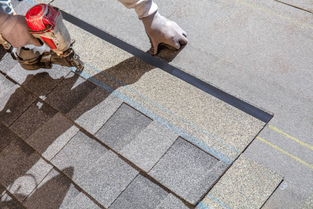 Best Roof Insulation Installation  in Palmer, AK